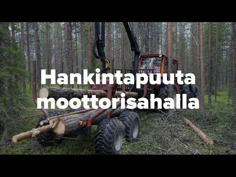 Aarre 2022 | Näin hankintahakkaaja Terho Pumpanen valmistautuu harvennussavottaan