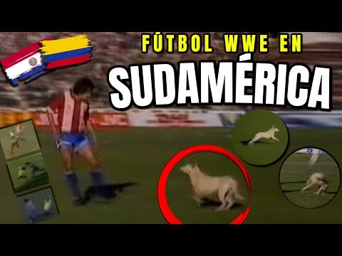 The South American mixed martial arts match where Paraguay and Colombia were tricked