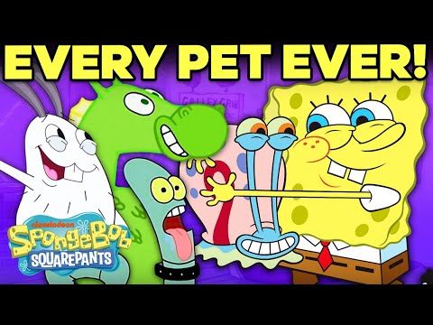 EVERY Pet in Bikini Bottom! ??| SpongeBob SquarePants