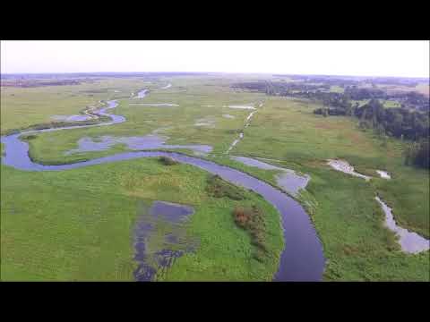 Łosinek - Pensjonat nad Biebrzą