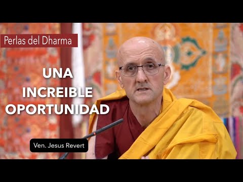 Ven  Jesús Revert · Una increible oportunidad