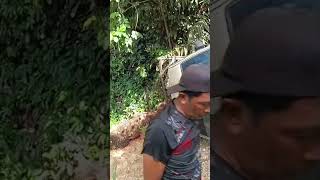 Download lagu Hilux ter berterabur sawit mp3
