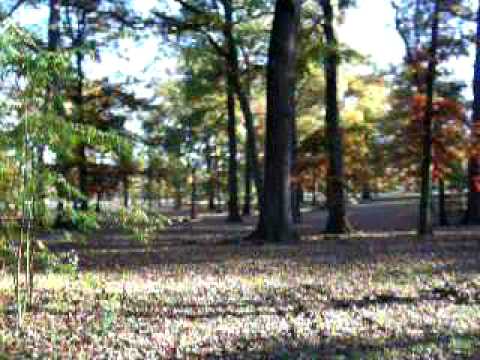 Overton Park Bikers 2