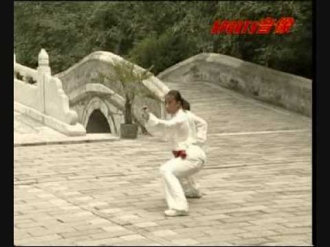 Ying Zhao Quan (eagle claw) Wushu competition form
