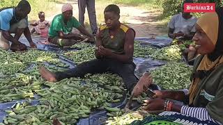 Abdourahim Tiraongo, le VDP agricole qui ose le pari de l'autosuffisance alimentaire au Burkina Faso