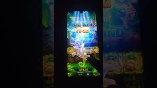 Jungle Delight — Kemenangan Besar
