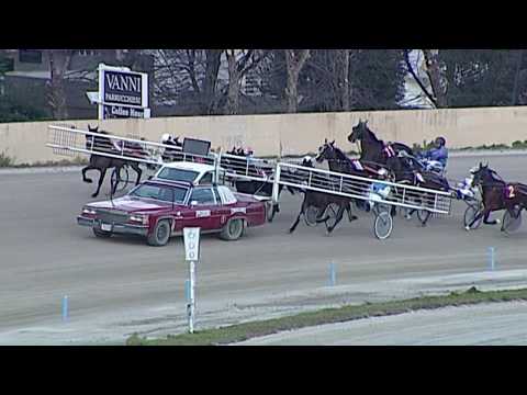 Aversa trotto 18 Gennaio 2020 - 2° Corsa