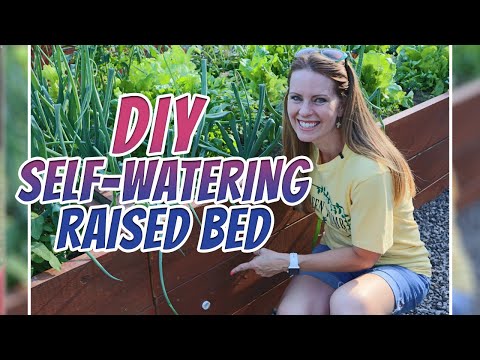 , title : 'DIY Self Watering Raised Beds/Green Thumb Nursery'