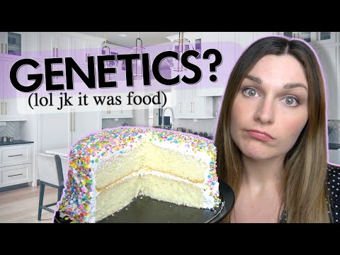 Why I Was Fat / My Struggles With Food