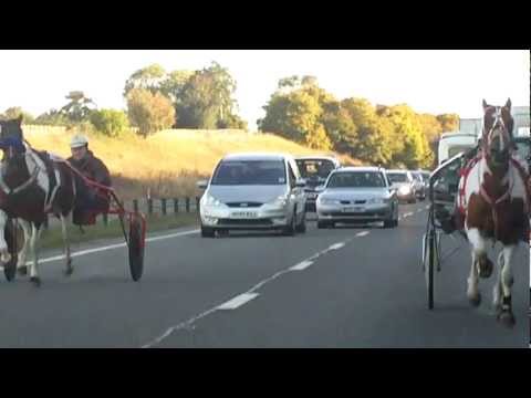 MUSTANG vs TOUCH OF SPICE