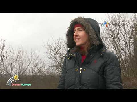 ValeaPai #DrumuriAproape @TVRTimisoara