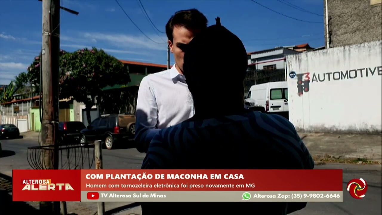 Homem com tornozeleira eletrônica tem plantação de maconha