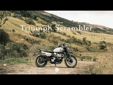 Ash Gray Triumph Scrambler 1200 X
