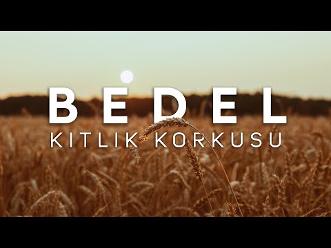 TÜRKİYE TARIMDA NASIL 'DIŞA BAĞIMLI' HALE GELDİ? [Belgesel]