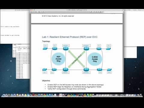 Tutorial - Introduction to ELAN Services
