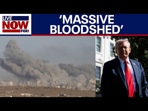 Video | War in Gaza: Trump says first phase of peace deal 'should be completed this week'
