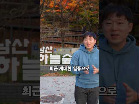 단풍 서울! 남산 하늘숲길로 놀러오세요