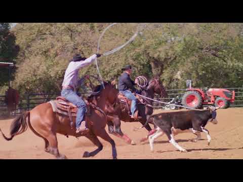 Cowboy up – Patrick Smith on the Rodeo Industry