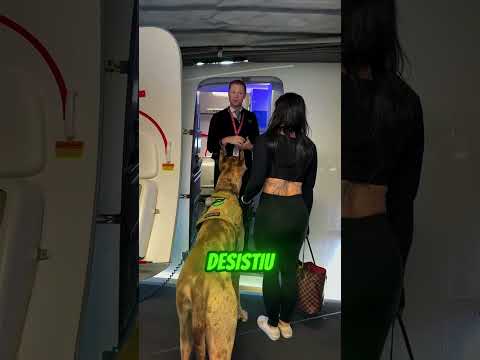 NINGUÉM ACREDITOU QUE ESSE CACHORRO ENTRARIA NO AVIÃO✈️🐶