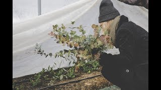 This Floral Designer Is Redefining Her Industry |#GrindItOut