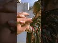 Waqt Ke Hatho Me Abki Takdirehai Status AashiquiRahulRoy Youtubeshorts Jointhe Aajnatrend Shorts