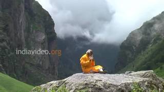 Flute Player in the Valley of Flowers