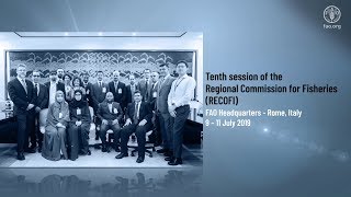 Tenth session of the Regional Commission for Fisheries (RECOFI)