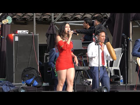 VIAJE MUSICAL POR EL PERÚ / DON GUILLERMO CAJAMARCA 2024