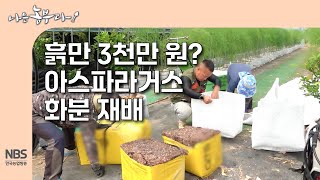 [나는농부다 306회] 흙만 3천만 원? 아스파라거스 화분 재배