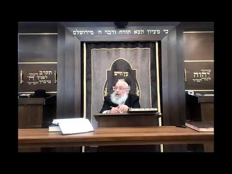 The Pnei Yehoshua on Sefer Kapot Temarim | from a shiur by Rav Asher Weiss Shlit"a