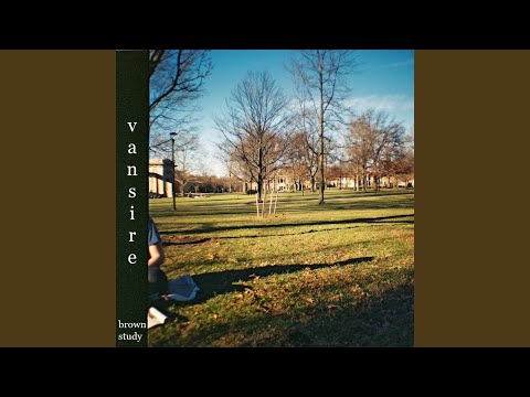 Brown Study - Vansire