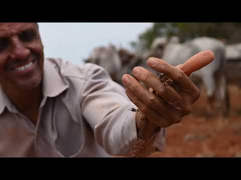 Filme Iporá - Pegadas do Tempo