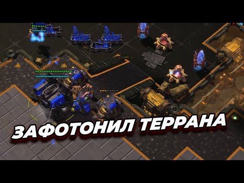 starcraft 2 зафотонил террана