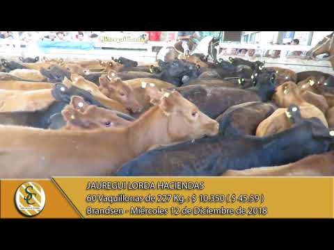 12-12-18 Venta de Hembras - Jauregui Lorda Haciendas - Brandsen