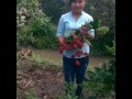 Minh Quay Lai Duoc Khong Nguyen Thi Huong Giang Jon C