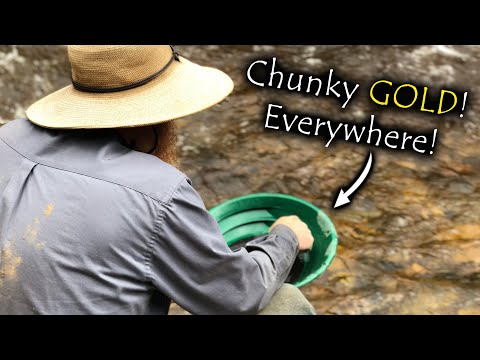 MASSIVE gold deposit with, GREAT CHUNKY GOLD!