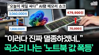 “AI 만들면 뭐해, 돌릴 컴퓨터가 없는데..” 빅테크 사재기가 부른 컴퓨터 '멸종 위기' I 오분경제