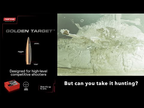 Norma Golden Target bullet for HUNTING?!