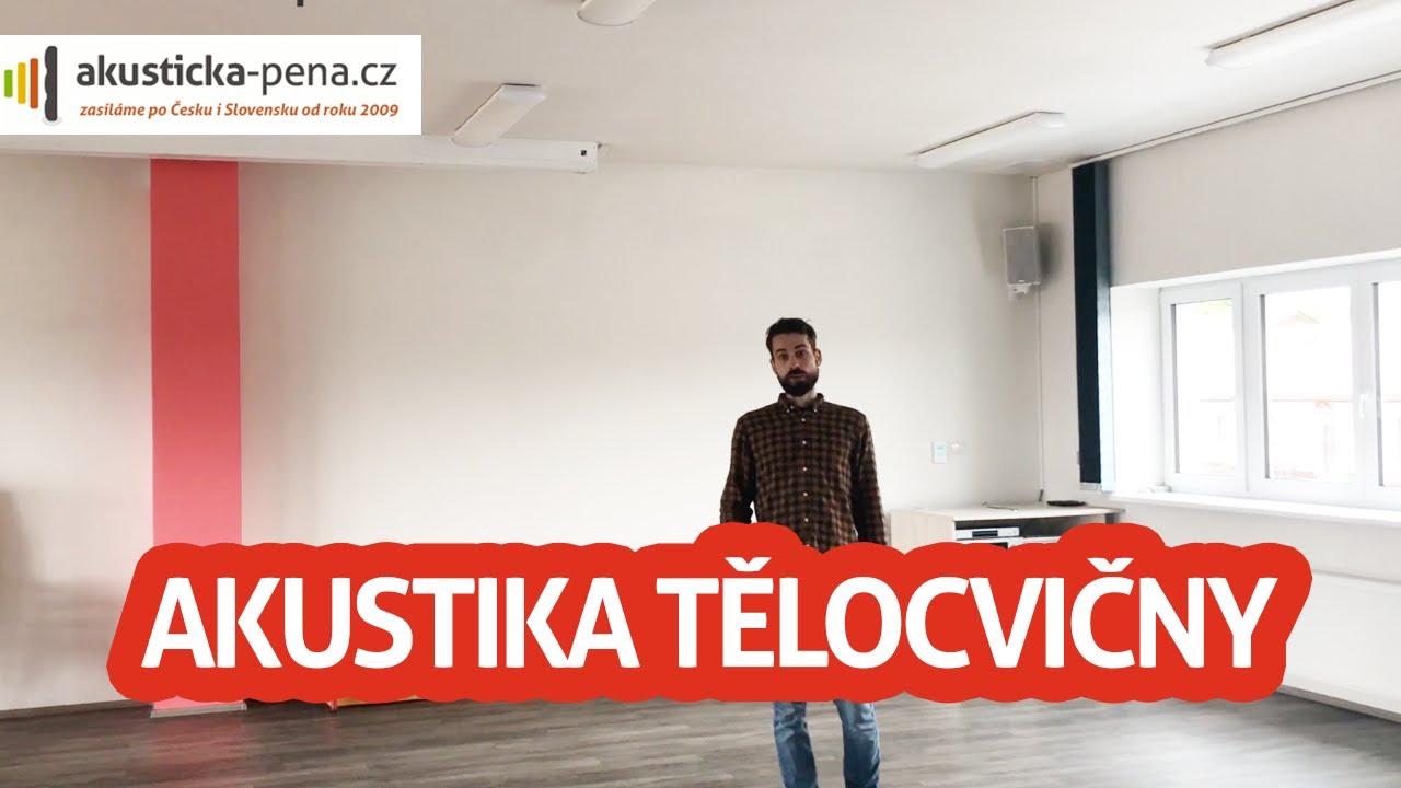 Přehrát video