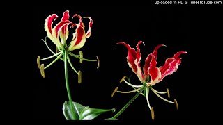Download lagu Raasaave Unnai Naan mp3