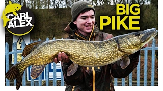 Pike Fishing ADVENTURE!