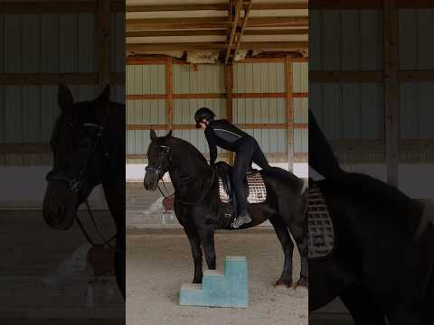 Riding my friesian mare for the first time in a year!😍🔥