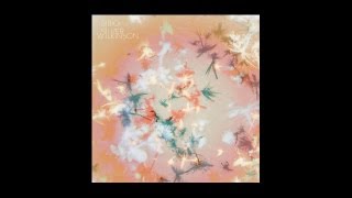 Bibio - Look at Orion!
