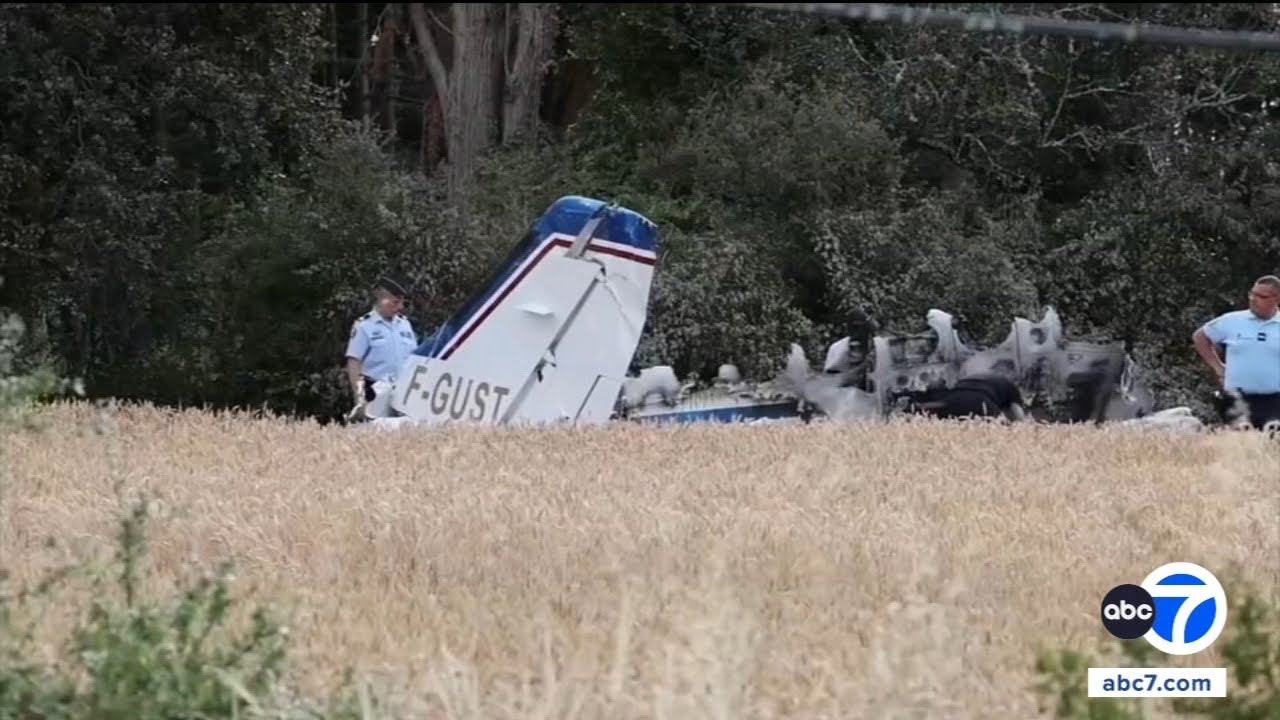 Claude Guillemot, co-founder of 'Assassin's Creed' maker Ubisoft, killed in plane crash in France