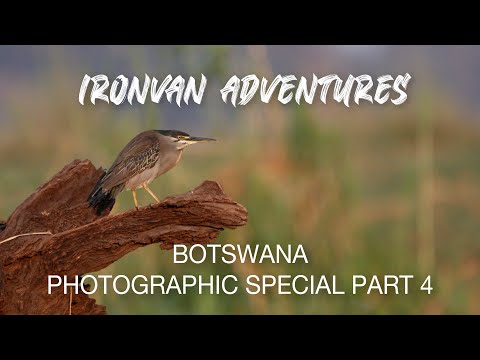 Botswana Magic! Ep 4 Chobe - "Ironvan" Adventures with Ironman 4x4