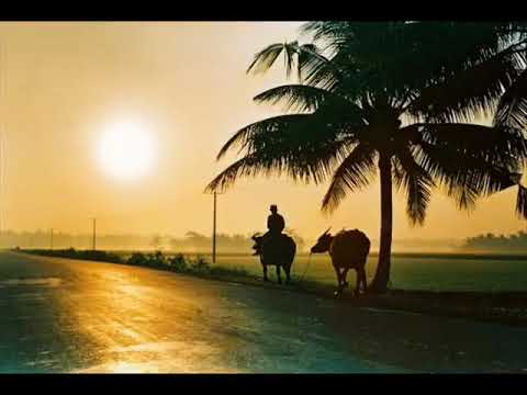 Như khói mây chiều tà (Hòa hương khúc) - Như Quỳnh