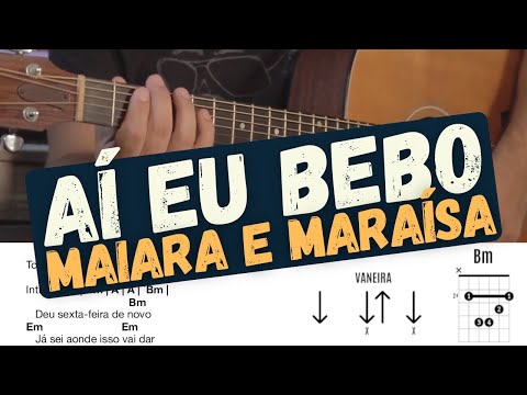 Eu Bebo E Vivo Menos - Thaeme e Thiago