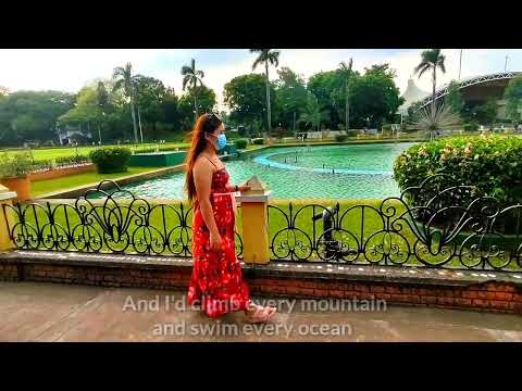 You are The Reason - Calum Scott cover by Alexandra Porat