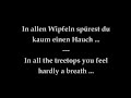 "Wandrers Nachtlied", music by Johannes Flecker ...