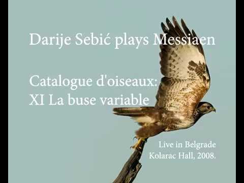 Darije Sebić plays Messiaen: La buse variable